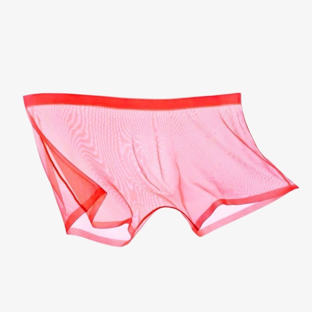 jewyee mesh underwear
