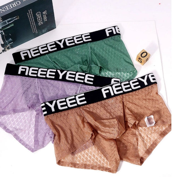 4-Pack Men's Cooling Mesh Ice Silk Underpants (4-Pack) - JEWYEE AY 1987