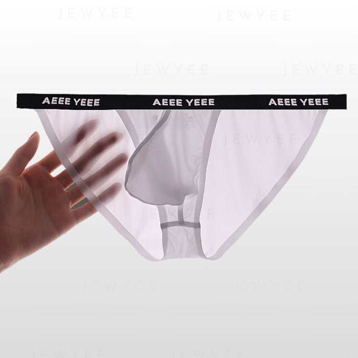 Men's See-through Ribbed Ice Silk Briefs Up to Size XXL (4-Pack) - JEWYEE AY 816