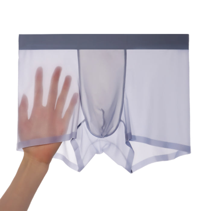 Men's Ultra Thin Ice Silk Underpants (4-Pack) - JEWYEE AY 2128 B