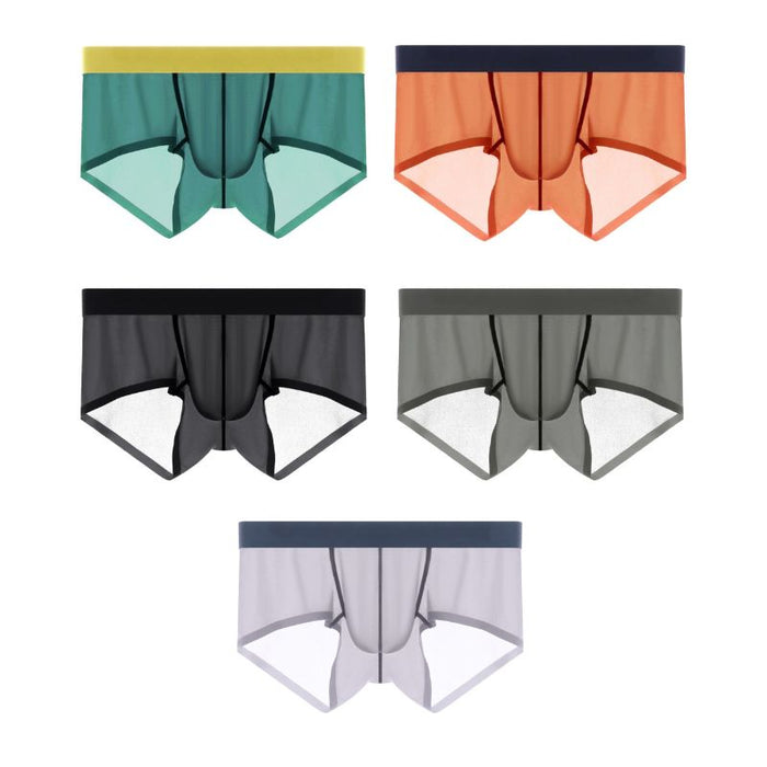 (5-Pack) Men's Ultra Thin Ice Silk Low-Rise Underpants-JEWYEE 810