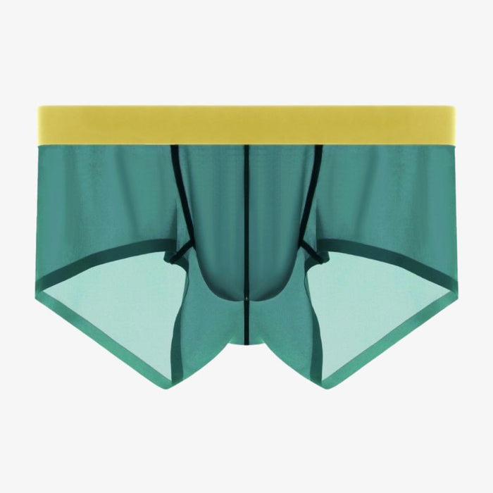 (5-Pack) Men's Ultra Thin Ice Silk Low-Rise Underpants-JEWYEE 810