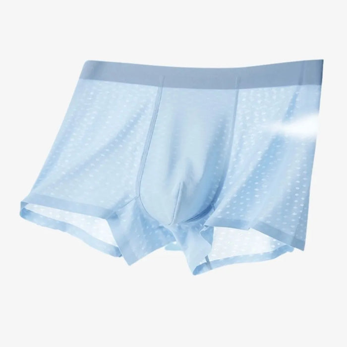FINAL SALE - (4-Pack) Men's Ice Silk Mesh Trunks JEWYEE 6631