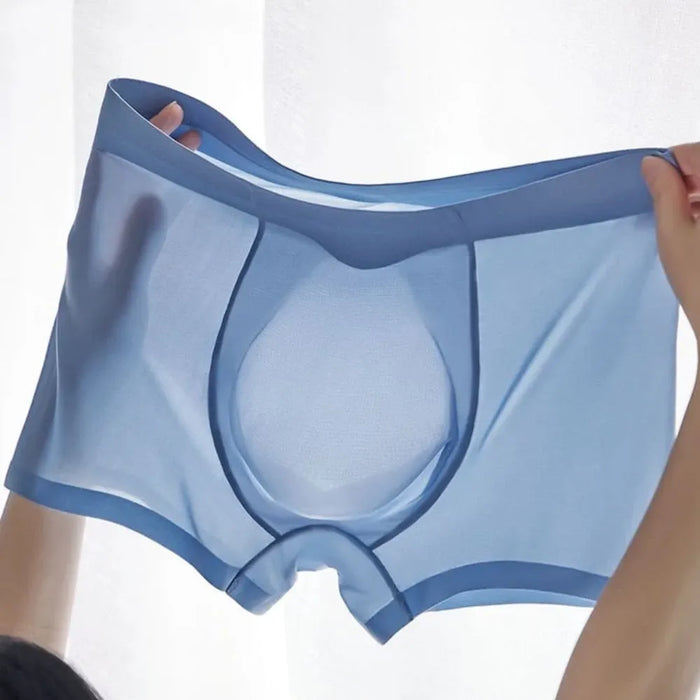 5-Pack Men's Ultra Thin Ice Silk Underpants  - JEWYEE 9008
