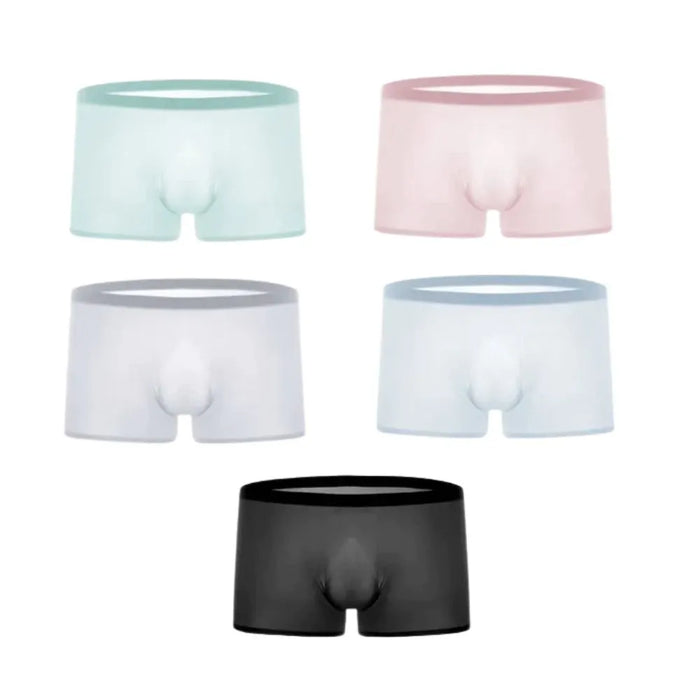 (5-Pack) 3D Seamless Pouch - Ultra Thin Ice Silk Trunks for Men Up To Size XXL-JEWYEE 1930