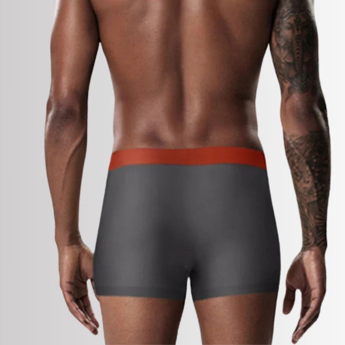 FINAL SALE - Men's Ultra Thin Ice-Silk & Modal Silk Trunks (4 Pack) - JEWYEE 2281
