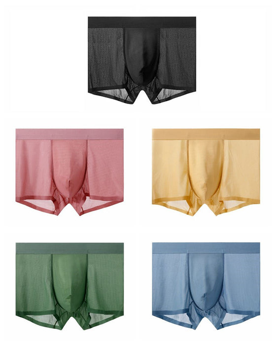 FINAL SALE -  (5 Pack)Men's Ultra Thin Ice Silk Mesh Underpants JEWYEE 1226