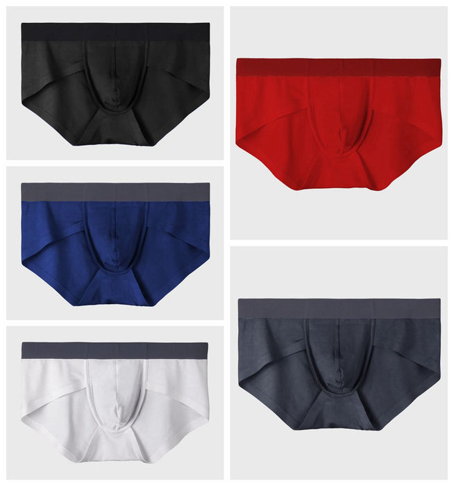 FINAL SALE - Men's Modal Briefs (5 Pack) - JEWYEE B320