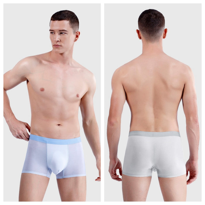 FINAL SALE - 4-Pack Ultra Thin Ice Silk Mesh Underpants for Men JEWYEE 1176