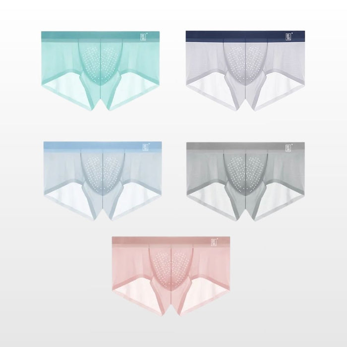Men's 3D Pouch With Vent-holes Ice Silk Low-Rise Underpants (5-Pack) -JEWYEE AY 1974 B