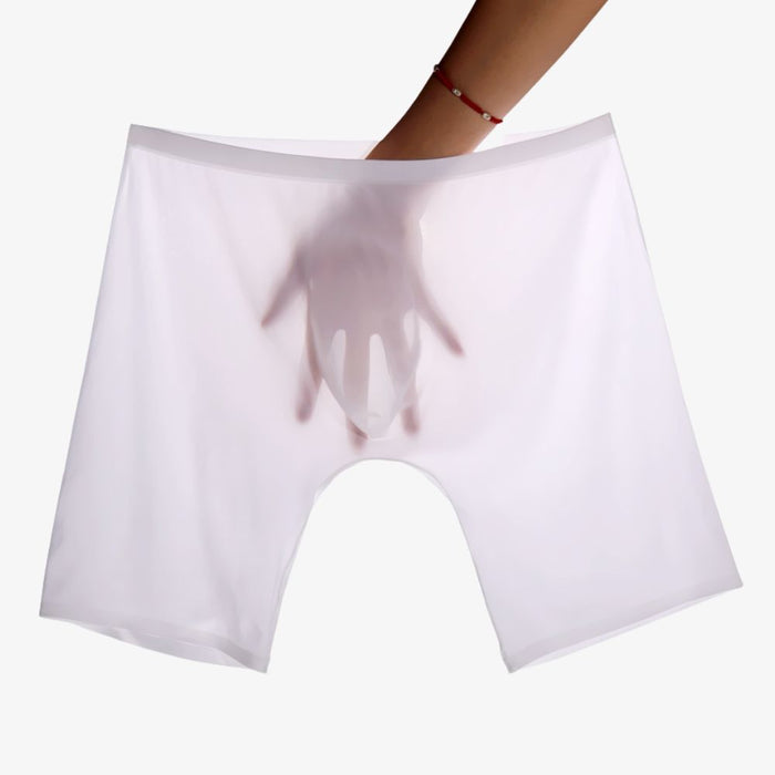 JEWYEE Men's 3D Seamless Pouch-Ultra Thin Ice Silk Boxer Briefsh, Ultra thin Silky fabric reduces chafing between thighs. Super soft and comfy.