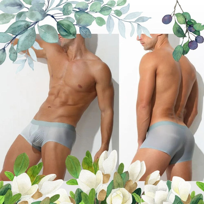Men's 3D Pouch With Vent-holes Ice Silk Low-Rise Underpants (5-Pack) -JEWYEE AY 1974 B