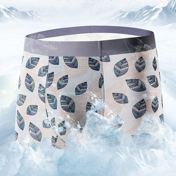 FINAL SALE -  (5-Pack) Printed Ice Silk Underpants for MenJEWYEE 8108