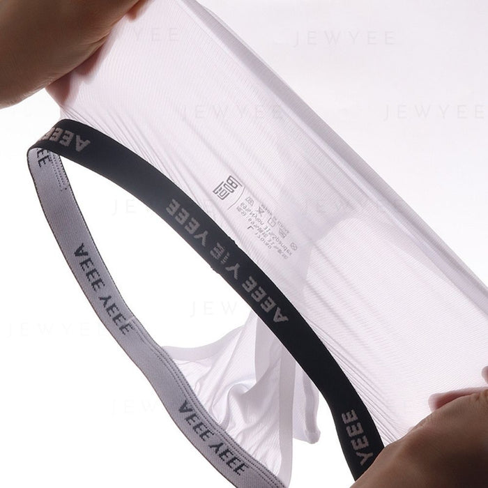 Men's See-through Ribbed Ice Silk Briefs Up to Size XXL (4-Pack) - JEWYEE AY 816