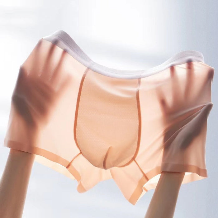 FINAL SALE -Men's Ultra Thin Ice Silk Underpants (4 Pack) - JEWYEE 2008