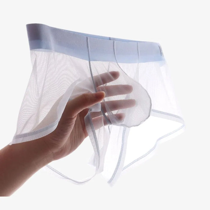 5-Pack Men's See-through Dual Pouch Low-Rise Mesh Underpants Up to Size XXL  -JEWYEE 1970