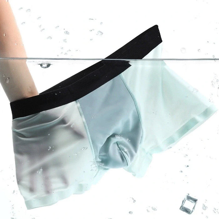 FINAL SALE -  (4 Pack) Men's Ultra Thin Ice Silk Underpants -JEWYEE B312