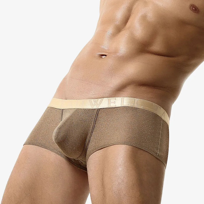 FINAL SALE - 3-Pack Men's  Low-Rise Underpants with golden thread - JEWYEE 23203