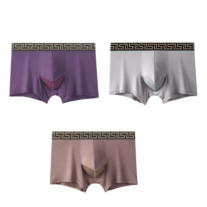 FINAL SALE - Dual Pouch - Men's Patterned Waistband Modal Underwear (3-Pack) JEWYEE 8002B