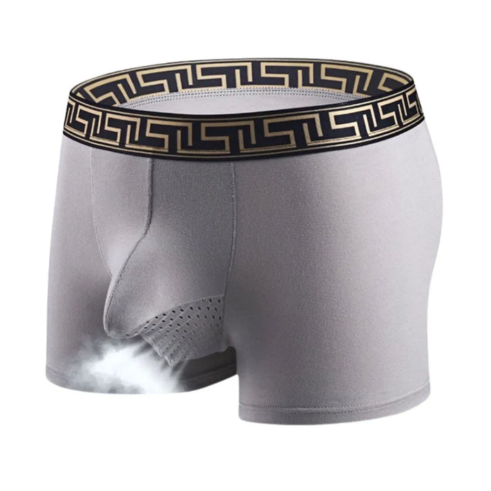 FINAL SALE - Dual Pouch - Men's Patterned Waistband Modal Underwear (3-Pack) JEWYEE 8002B