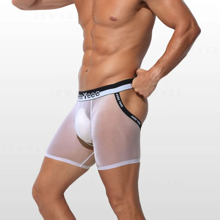 Men's See-Through Ice Silk Backless Underpants (2-Pack) - JEWYEE AY 851