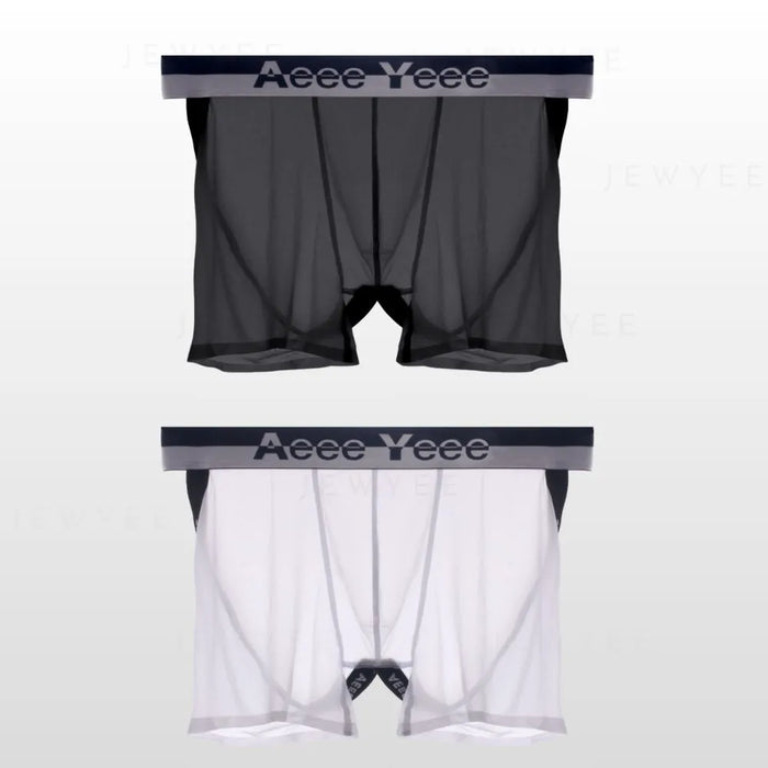 Men's See-Through Ice Silk Backless Underpants (2-Pack) - JEWYEE AY 851