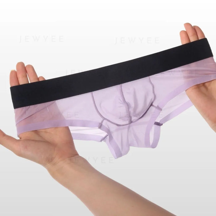 (4-Pack)Men's See-through Ultra Thin Ice Silk Low-Rise Briefs - JEWYEE AY 1980