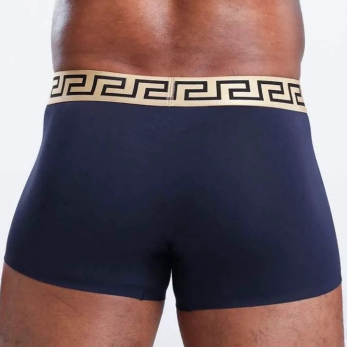 FINAL SALE - (4 Pack) Men's Decorated Waistband Ultra Thin Ice Silk Trunks- JEWYEE 3004