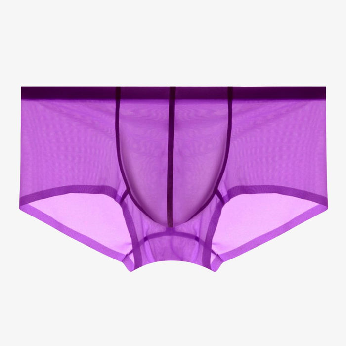 Men's See-through Low-Rise Ultra Thin Ice Silk Underpants (5-Pack) -JEWYEE 831