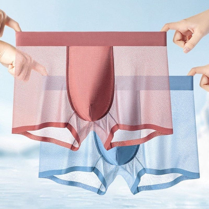 FINAL SALE -  (5 Pack)Men's Ultra Thin Ice Silk Mesh Underpants JEWYEE 1226