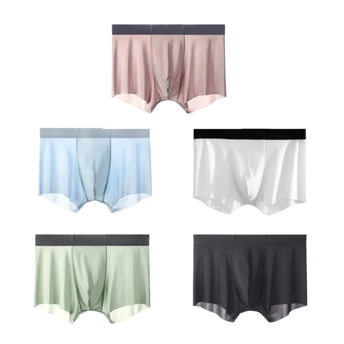 FINAL SALE - Men's Ultra Thin Ice Silk Trunks (5-Pack) JEWYEE - ZJ009