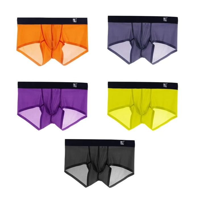 (5-Pack)Men's Ultra Thin Ribbed Ice Silk Low-Rise Underpants -JEWYEE 804