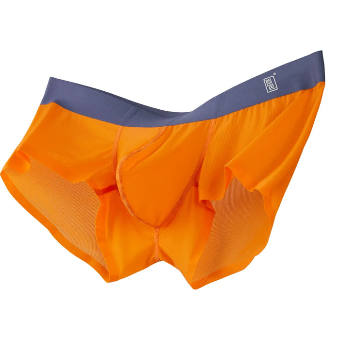 (5-Pack)Men's Ultra Thin Ribbed Ice Silk Low-Rise Underpants -JEWYEE 804