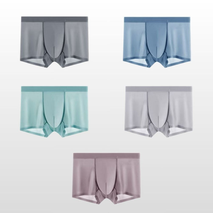 5-Pack Ultra Thin Ice Silk Underpants for Men JEWYEE 1118