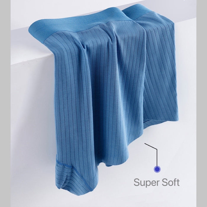 FINAL SALE - (4-Pack) Men's Striped Super Soft Modal Underpants  JEWYEE 1910
