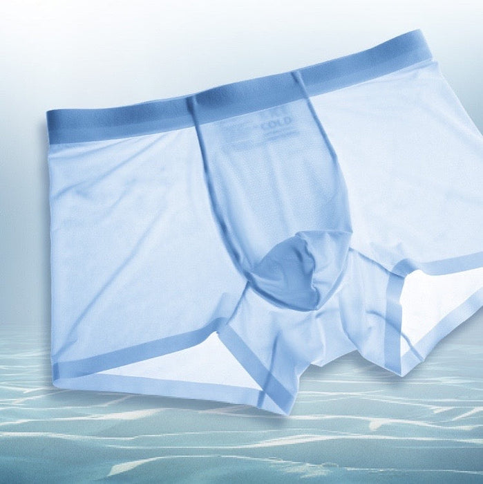 FINAL SALE - (4-Pack) Men's Ultra Thin 3D Pouch Ice Silk Underpants -JEWYEE 2126
