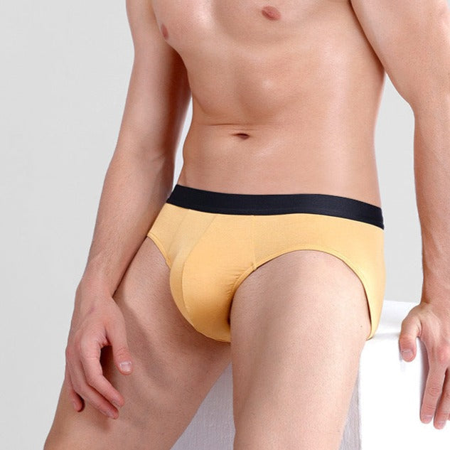 FINAL SALE -  (4-Pack) Super Soft Modal Briefs for Men JEWYEE 1188