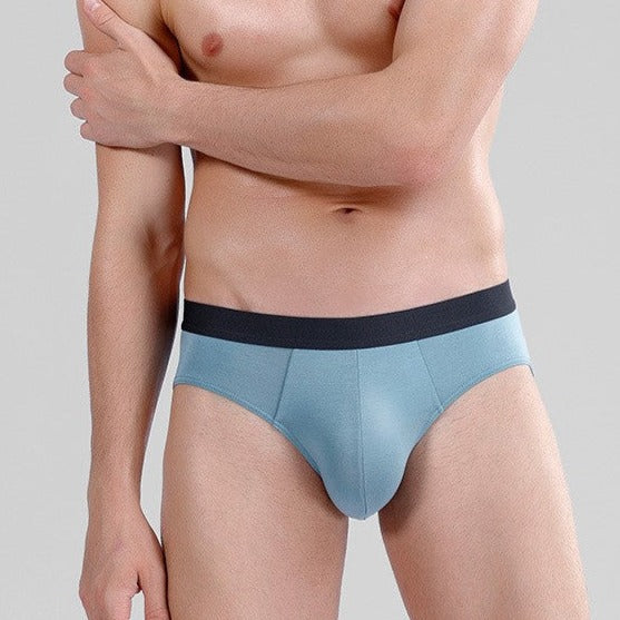 FINAL SALE -  (4-Pack) Super Soft Modal Briefs for Men JEWYEE 1188
