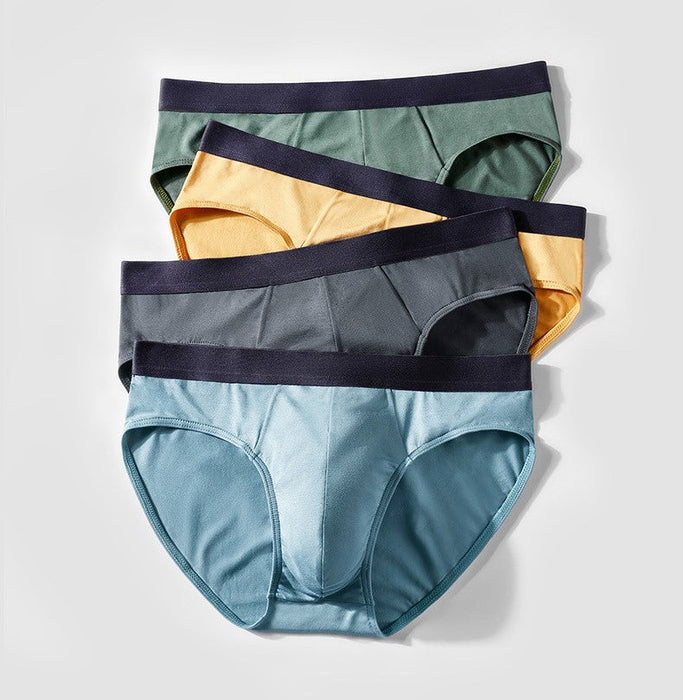 FINAL SALE -  (4-Pack) Super Soft Modal Briefs for Men JEWYEE 1188