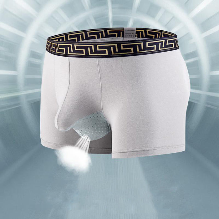 FINAL SALE - Dual Pouch - Men's Patterned Waistband Modal Underwear (3-Pack) JEWYEE 8002