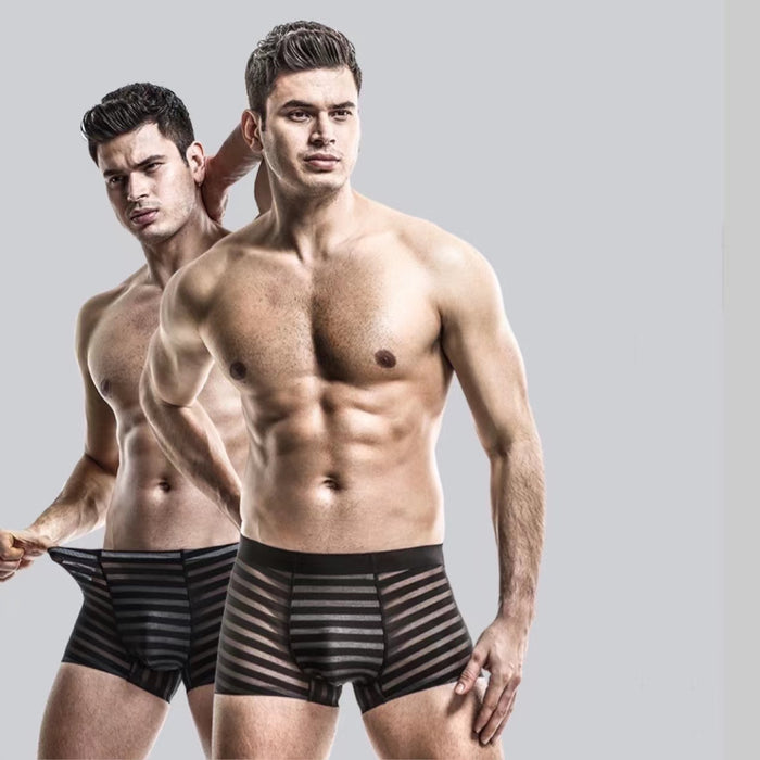 FINAL SALE - (6-Pack) Men's Striped Ice Silk Trunks- JEWYEE B321/B322