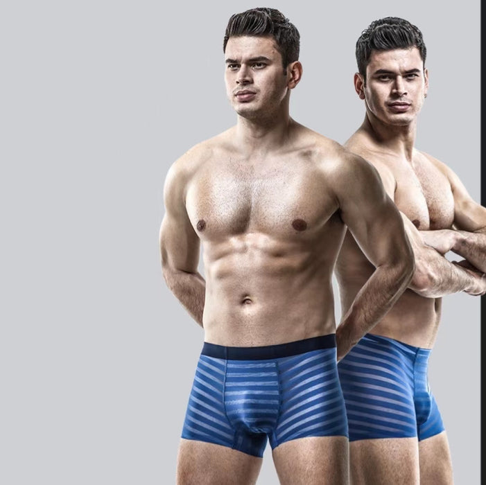 FINAL SALE - (6-Pack) Men's Striped Ice Silk Trunks- JEWYEE B321/B322