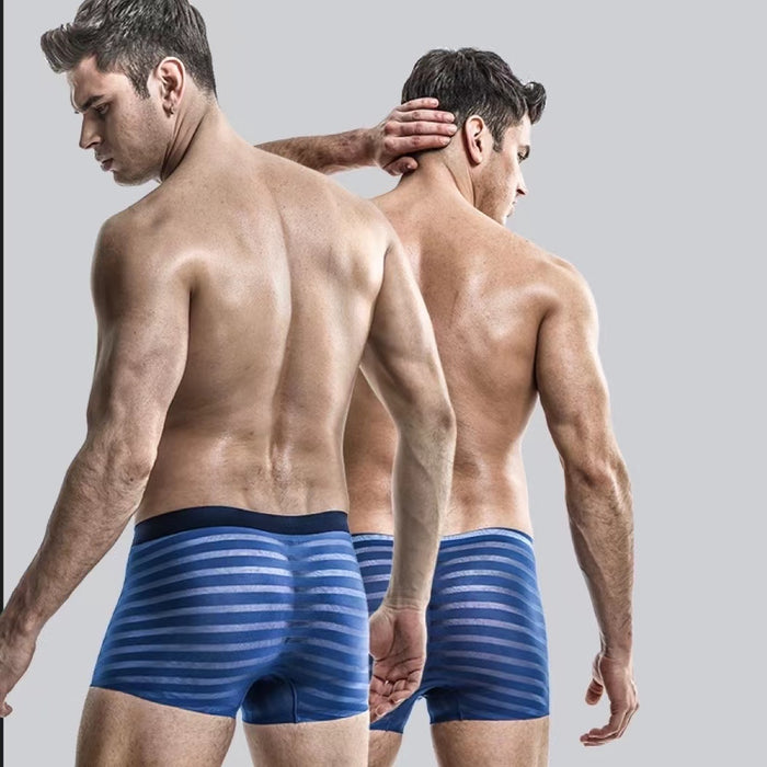 FINAL SALE - (6-Pack) Men's Striped Ice Silk Trunks- JEWYEE B321/B322