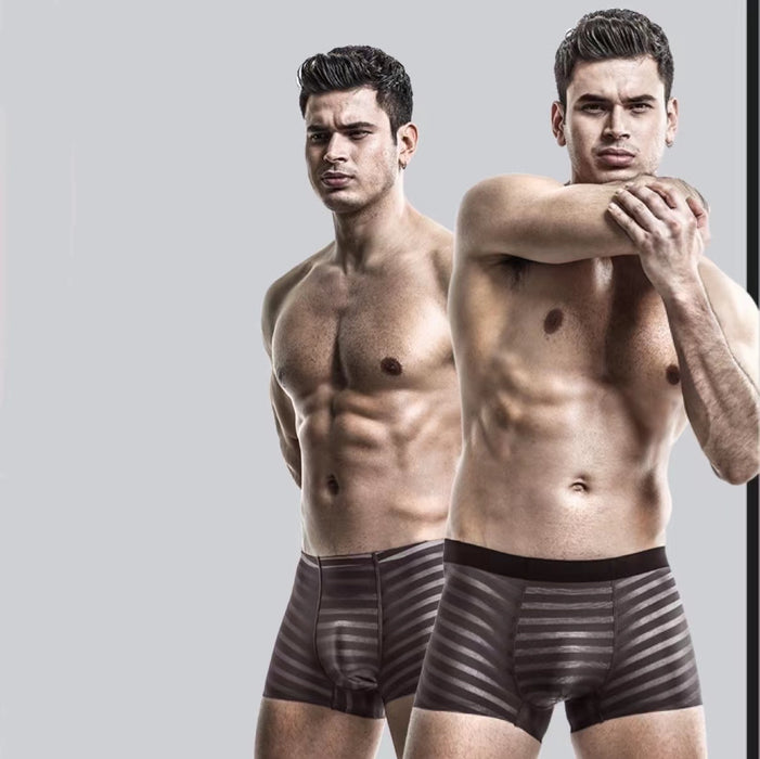 FINAL SALE - (6-Pack) Men's Striped Ice Silk Trunks- JEWYEE B321/B322