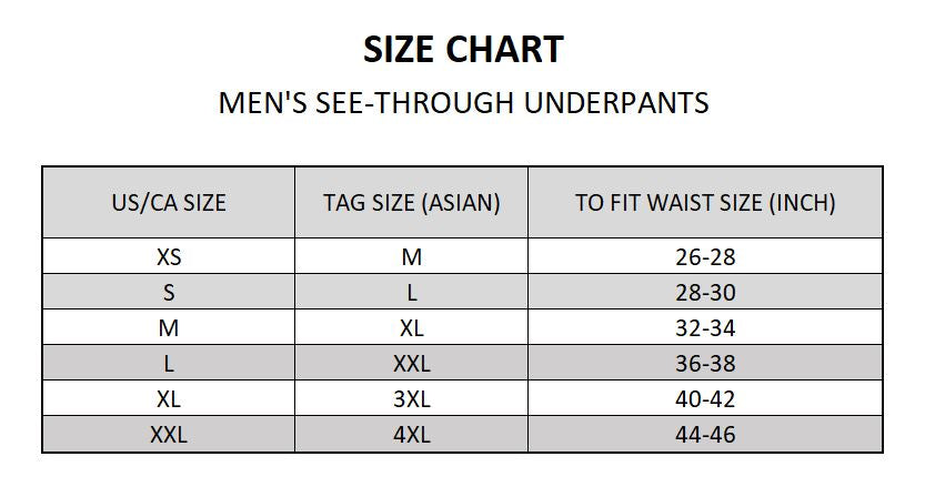 (4-Pack) Elephant's Trunk  See-Through Underpants for Men JEWYEE 1950
